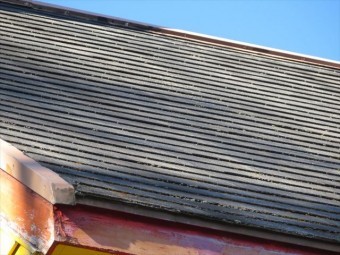 屋根の写真