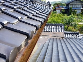 雨樋の点検をしてきました③