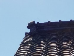 鬼瓦落ちそうです。