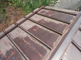 樹液撤去ケレン作業8