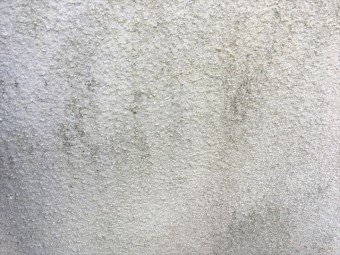 181129-162958025_R-columns2