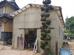 長野県飯島町ハウス現状1