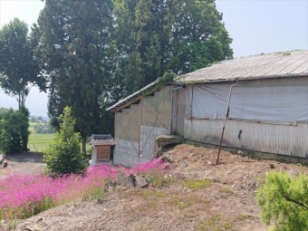 長野県飯島町牛舎解体現調3