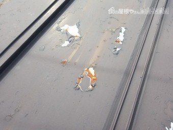トタン塗装点検してきました④