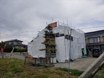 看板シート