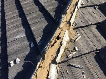 棟の土の写真