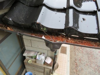 雨樋
