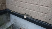 ベランダ立上り部分