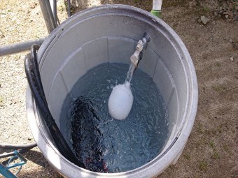 飯島町柿ハウス洗浄5