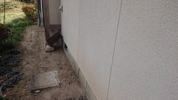 飯田市下久堅外壁塗装現調6