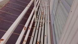 飯田市大瀬木柿ハウス下塗り6