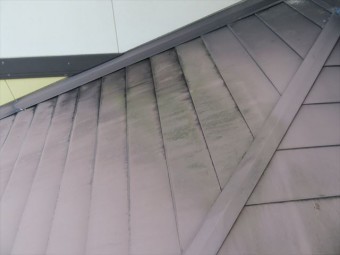 洗浄前