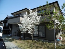 塗装前です