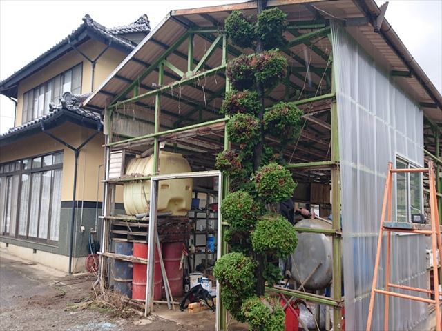 長野県飯島町農業用ポリカ外壁交換5