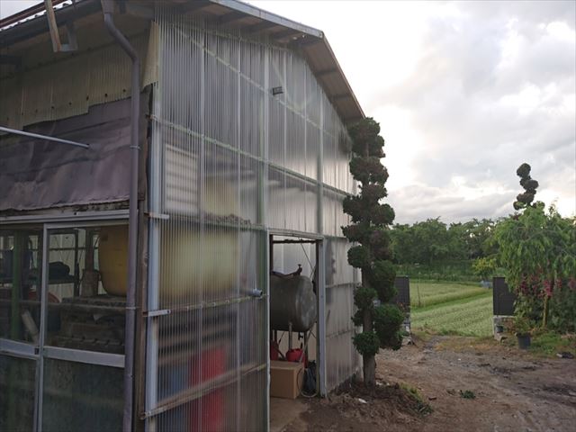 長野県飯島町農業用ポリカ外壁交換3