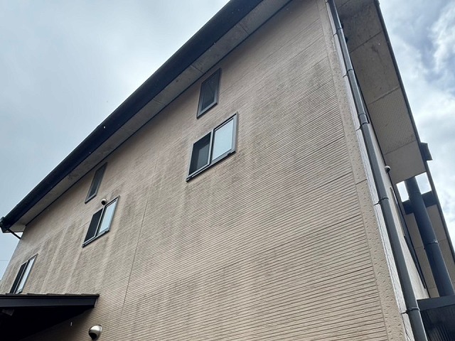 住宅の軒天にカビが発生している状況