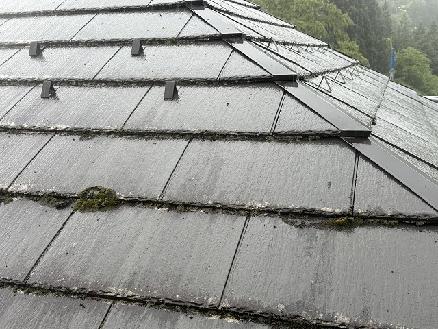 洗浄前のコロニアル屋根に大量の苔が付着している状況
