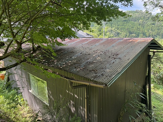 農作業小屋のトタン波板屋根に広範囲のサビや汚れが広がる劣化状況