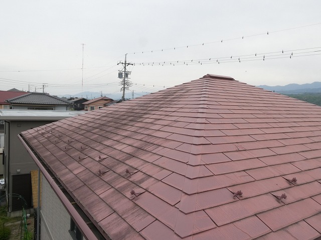 住宅屋根の無料点検でコロニアル屋根の苔を確認