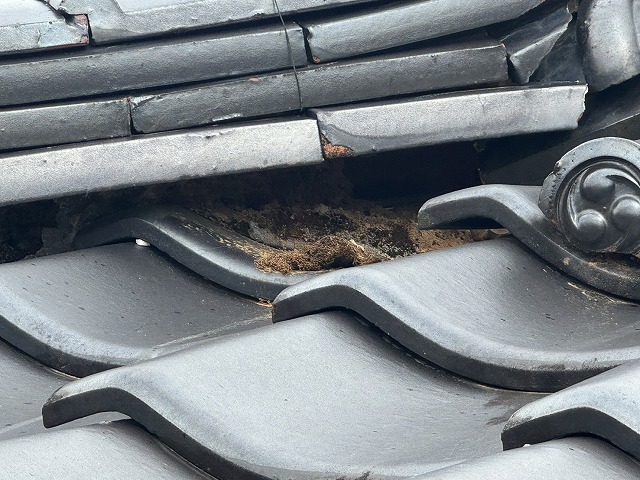 住宅瓦屋根の無料点検で棟部の漆喰剥がれを確認
