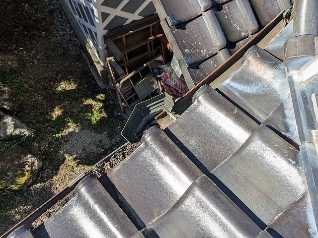 無料点検で雨樋に土砂が堆積している状況を確認