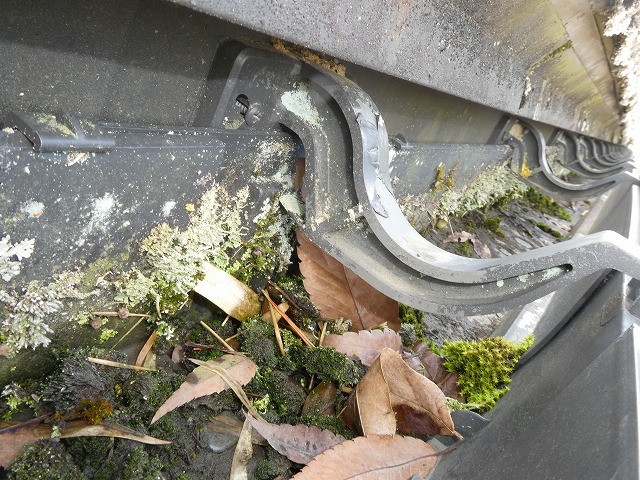 雨樋に苔が発生し落ち葉が堆積して排水機能を妨げている状況
