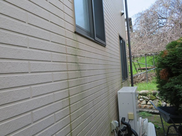 現場調査で確認した住宅サイディング外壁の苔の発生