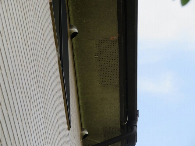 現場調査で確認した住宅軒天のカビ