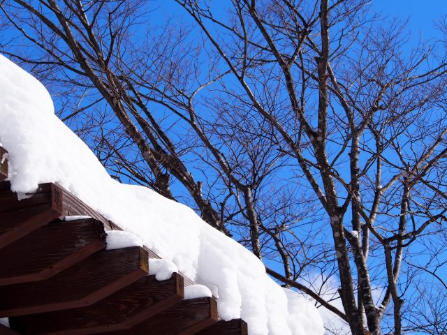 雪の積もった屋根