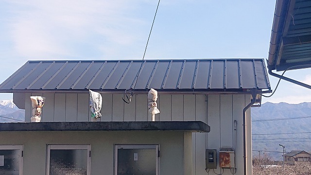 松川町トタン屋根上塗り4