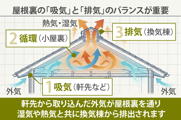 軒先から取り込んだ外気が屋根裏を通り、湿気や熱気と共に換気棟から排出されます