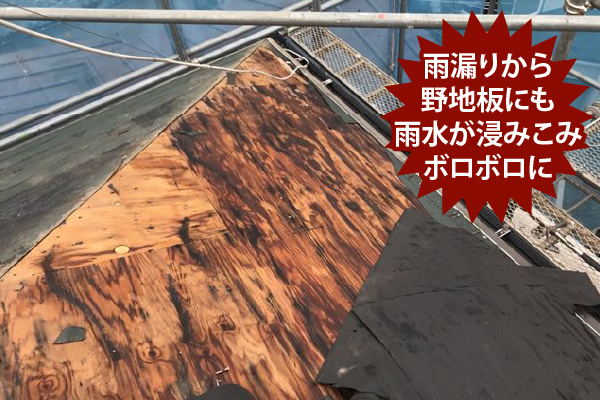 雨漏りから野地板にも雨水が浸みこみボロボロに