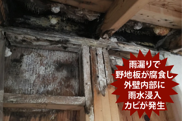 雨漏りで野地板が腐食し外壁内部に雨水侵入カビが発生